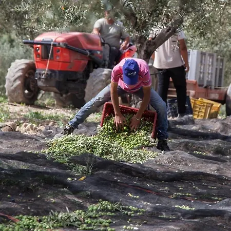 Εξοχικό σπίτι Azienda Agricola Mandranova Palma di Montechiaro