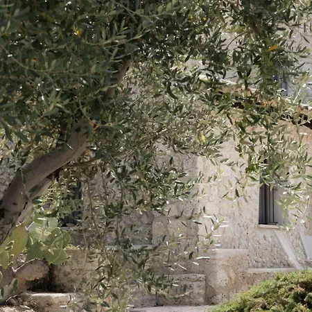 Azienda Agricola Mandranova Palma di Montechiaro